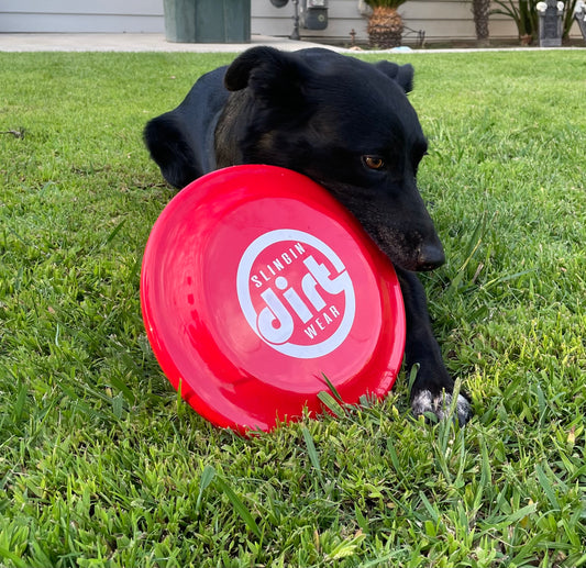 Frisbee